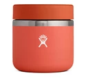 Thermos pour aliments Hydro Flask  Insulated Food Jar 20 oz (591 ml)