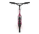 Trottinette Yedoo Steel S2020 Burgundy