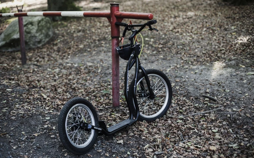 Trottinette Yedoo Mezeq de la série RunRun