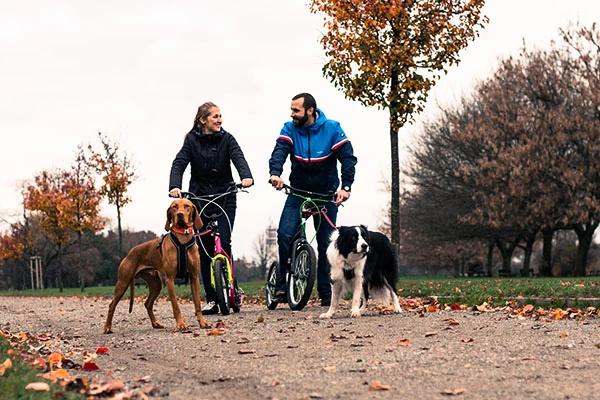 Cani-trottinettes Yedoo pour propriétaires de chiens et mushers