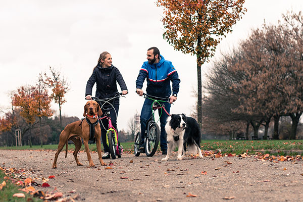 Cani-trottinettes Yedoo pour propriétaires de chiens et mushers